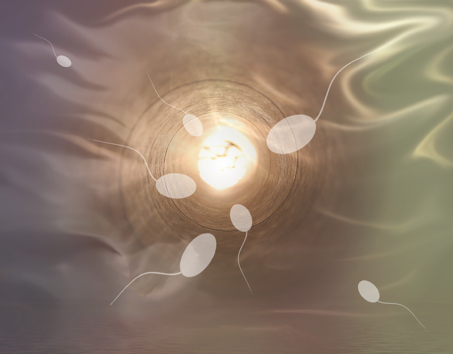 Researchers find no evidence that sperm count decreases