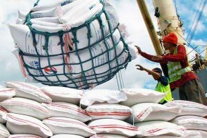 Rice imports amounted to 2 million tons at the end of May