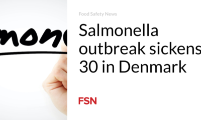 Salmonella outbreak makes 30 people sick in Denmark