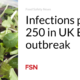 The number of infections exceeds 250 in the E. coli outbreak in the United Kingdom