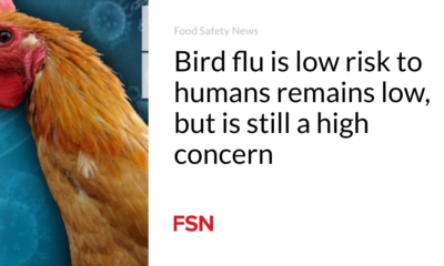 The risk of bird flu to humans is low, but remains low, but is still a major concern