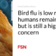 The risk of bird flu to humans is low, but remains low, but is still a major concern