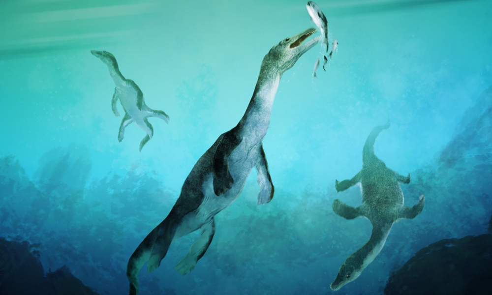 This giant arctic reptile once stalked an ancient superocean