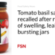 Tomato Basil Sauce recalled after reports of swelling, leaking or bursting jars