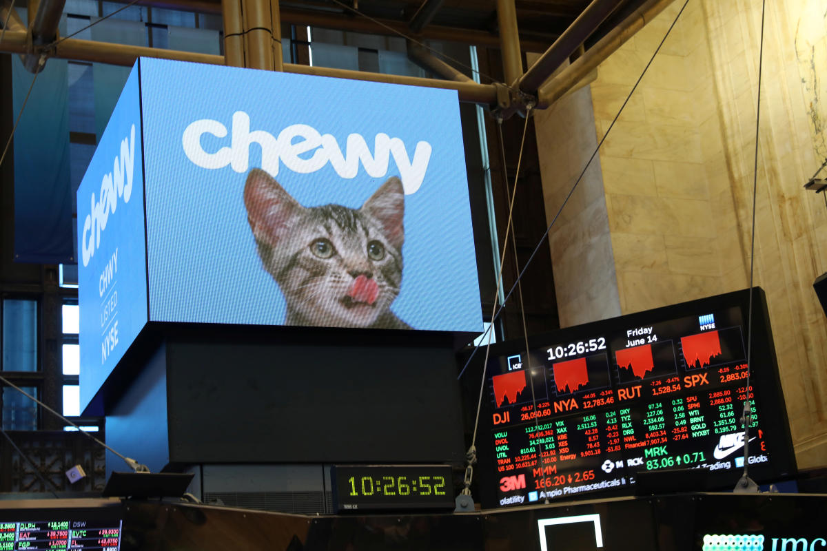 Tough Stocks Soar After 'Roaring Kitty' Posts Cryptic Photo of Dog on X