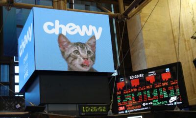 Tough Stocks Soar After 'Roaring Kitty' Posts Cryptic Photo of Dog on X