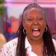 Whoopi Goldberg and Joy Behar overjoyed with Trump's conviction on 'The View'
