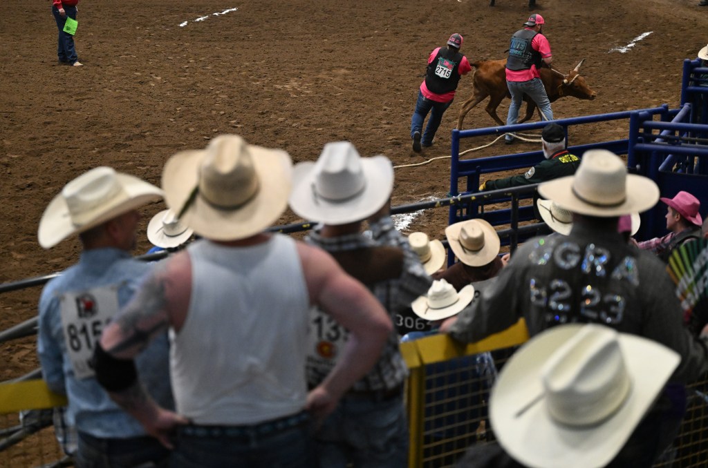 41st Annual Rocky Mountain Regional Gay Rodeo