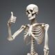 A breakthrough in the treatment of osteoporosis