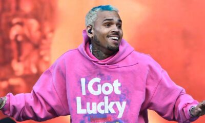 Chris Brown sued for $15 million by security guard for allegedly assaulting concertgoers