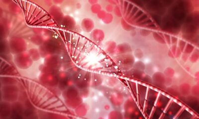 Gene therapy for blood diseases