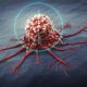 How Checkpoint Inhibitors Work in Cancer Immunotherapy