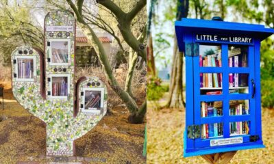How to set up a small free library