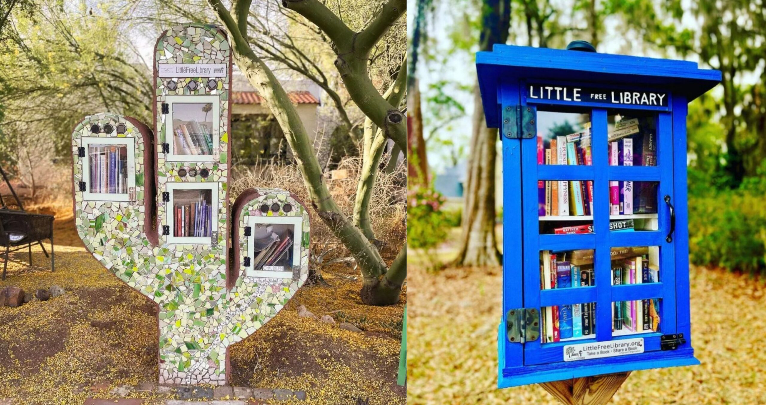 How to set up a small free library