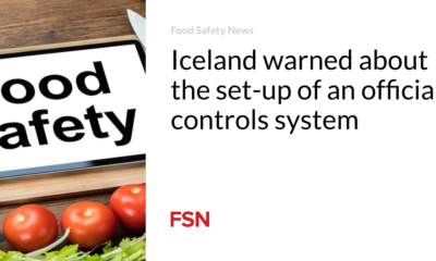 Iceland warned against setting up an official control system