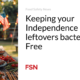 Keep your leftovers germ-free this Independence Day