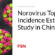 Norovirus surpasses research on incidence estimates in China