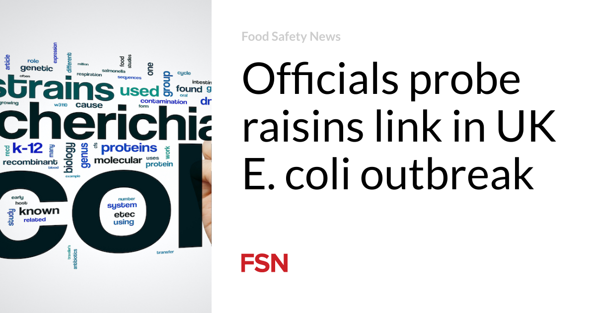 Officials are investigating the link between raisins in Britain's E. coli outbreak