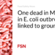 One death in Montana from E. coli outbreak linked to ground beef