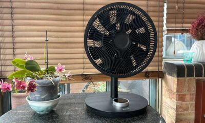 The fan in tabletop mode on a table, next to a plant