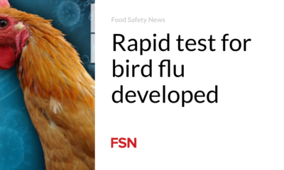 Rapid test for bird flu developed