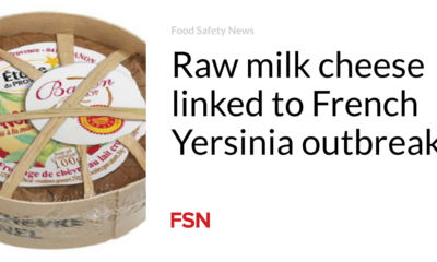 Raw milk cheese linked to French Yersinia outbreak