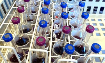 The shortage of blood culture bottles will hurt patients in surprising ways