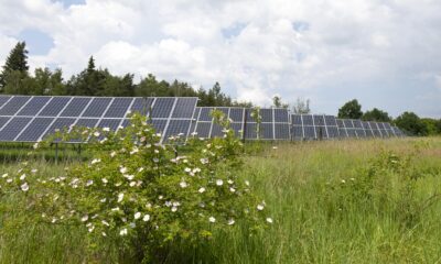 There is a right and a wrong way to build a solar farm