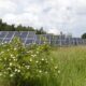 There is a right and a wrong way to build a solar farm