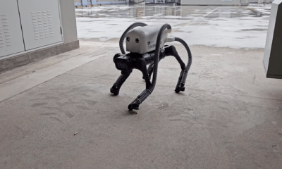 This floundering robot sucks cigarette butts