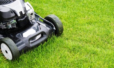 You are probably mowing your lawn incorrectly