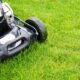 You are probably mowing your lawn incorrectly