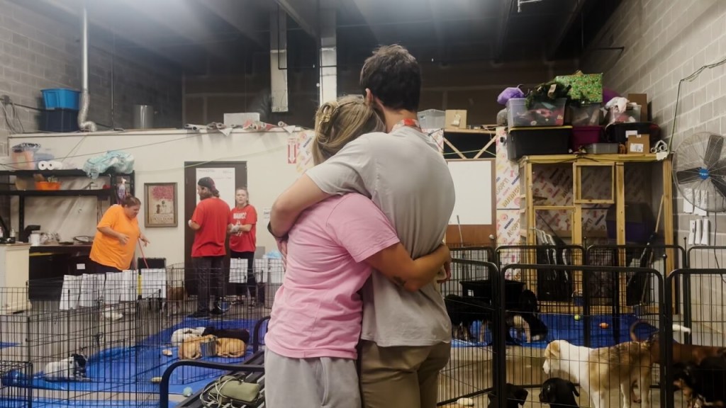 11 puppies are euthanized after exposure to rabies at Sheridan's adoption event