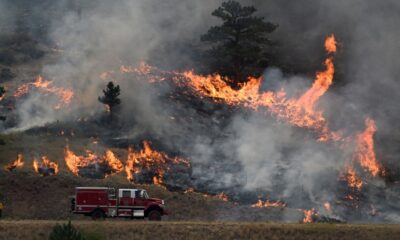 9,500 hectares charred, thousands evacuated