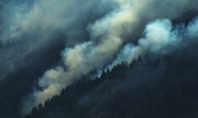 Alexanderberg fire, quarry fire, lake