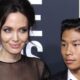 Angelina Jolie 'seeks help' for hospitalized son Pax after cycling accident