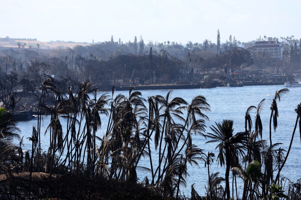 August 8, devastating wildfires in Maui