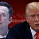 Donald Trump tells Elon Musk that illegal immigration saved his life