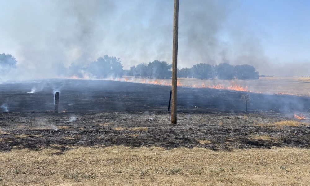 Electrocuted bird sparked wildfire in Arapahoe County in July