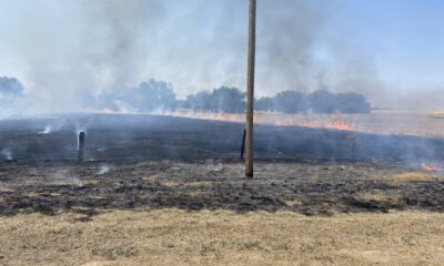 Electrocuted bird sparked wildfire in Arapahoe County in July