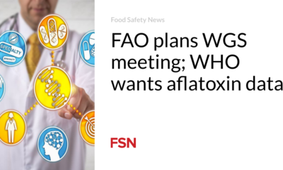 FAO plans WGS meeting; The WHO wants data on aflatoxin