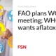 FAO plans WGS meeting; The WHO wants data on aflatoxin