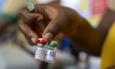 Four lessons from STAT's malaria vaccine development story