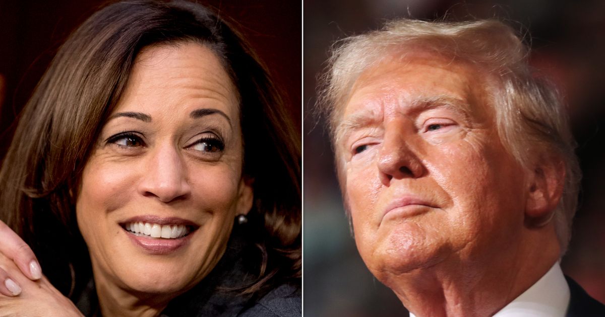 Kamala Harris campaign is trolling Trump where it hurts most: on his own turf