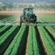 Pesticide exposure linked to stillbirth risk in new study