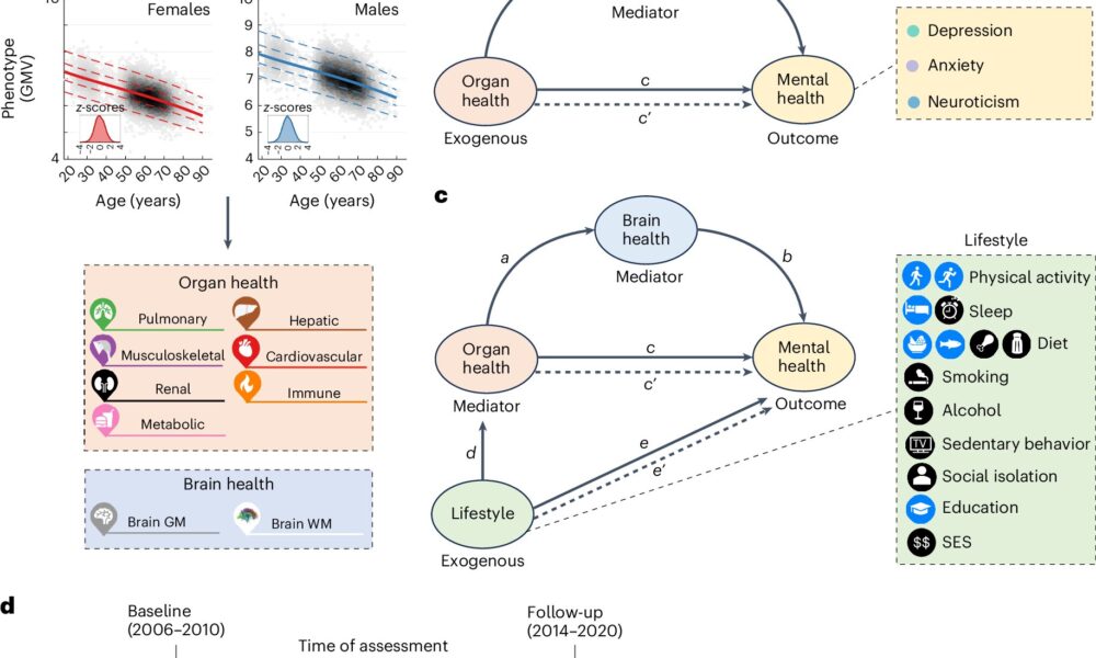 Revealed pathways linking body and brain health and the implications for mental health