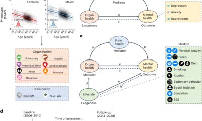 Revealed pathways linking body and brain health and the implications for mental health