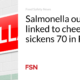 Salmonella outbreak linked to cheese sickens 70 people in France