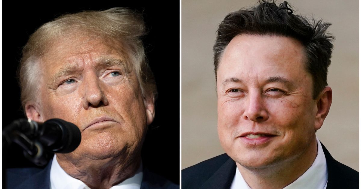 The 5 wildest moments from Donald Trump and Elon Musk's chat