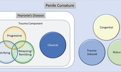 The 'PTNM' system provides a new classification for Peyronie's disease and penile curvature